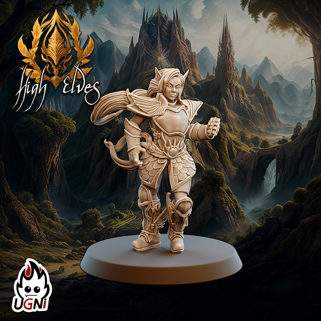 UGNI High Elf Fantasy Football Team