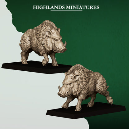 Highlands Miniatures Feral Elves - Beast Tamers