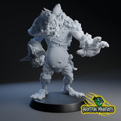 Brutefun Fantasy Football Clever Troll - Ripped!