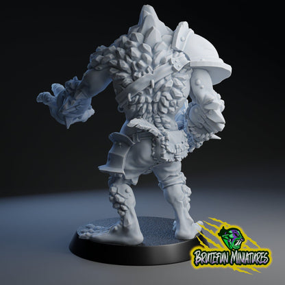 Brutefun Fantasy Football Clever Troll - Ripped!