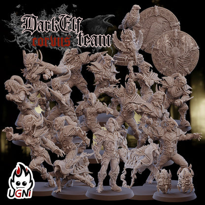UGNI Dark Elf Fantasy Football Team - Corvus Cabal Style