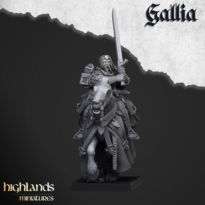 Highland Miniatures Gallia Questing Knights