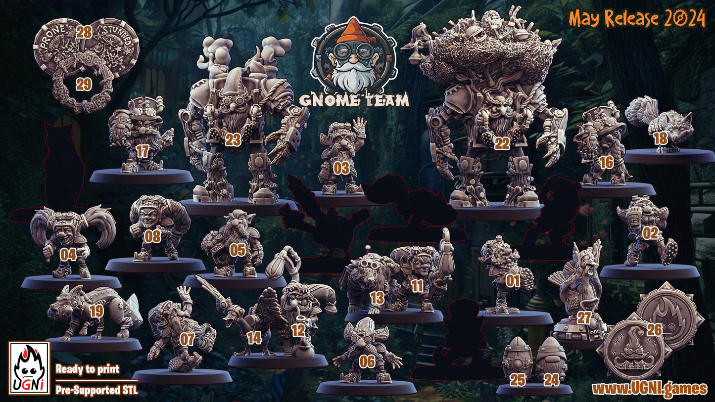 UGNI Gnome Fantasy Football Team + Extras + Stars