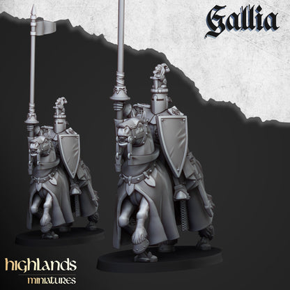Highland Miniatures - Knights of Gallia