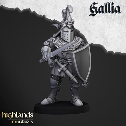 Highland Miniatures Gallia Knights on Foot