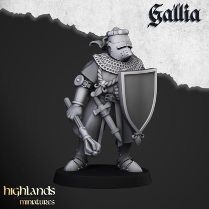 Highland Miniatures Gallia Knights on Foot