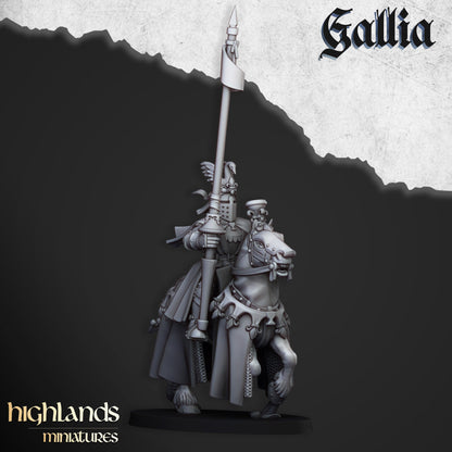 Highland Miniatures - Royal Knights of Gallia