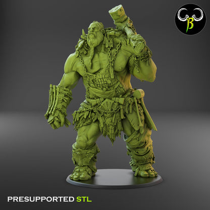 ClayBeastCreation - Iron Hoarder