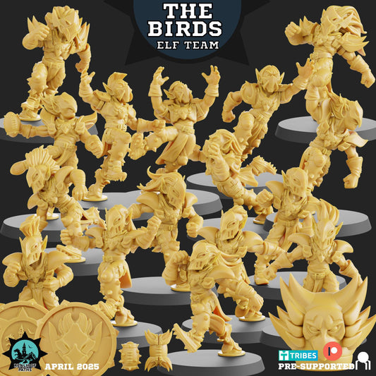 Realm of Paths Fantasy Football Elf Team - 'The Birds'