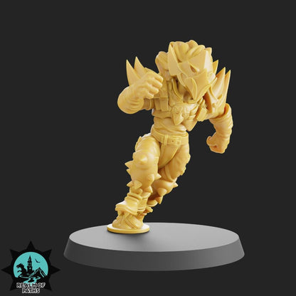 Realm of Paths Fantasy Football Elf Team - 'The Birds'