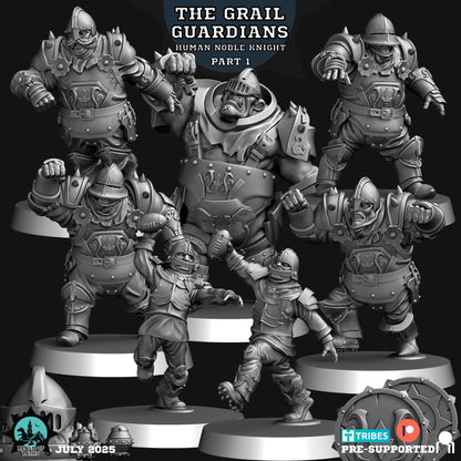 Realm of Paths Fantasy Football Human Noble Knight Team - 'The Grail Guardians'