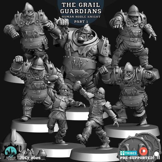 Realm of Paths Fantasy Football Human Noble Knight Team - 'The Grail Guardians'